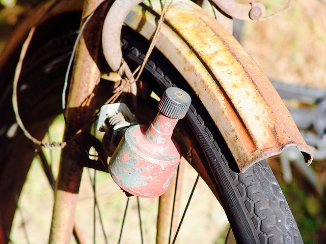Větší rychlost jízdního kola znamená větší derivaci magnetického toku podle času a větší svit žárovky. Zdroj: pixabay.com