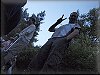_6191104.JPG 
