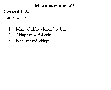 Textové pole: Mikrofotografie kůže
Zvětšení 450x 
Barveno HE
 
Mazová žlázy uložená poblíž
Chlupového folikulu
Napřimovač chlupu
 
 
