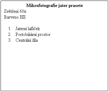 Textov pole: Mikrofotografie jater prasete
Zvten 60x 
Barveno HE
 
Jatern lalek
Portobilirn prostor
Centrln la 
 
 
 
