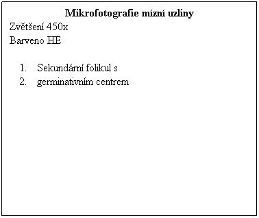 Textov pole: Mikrofotografie mzn uzliny
Zvten 450x 
Barveno HE
 
Sekundrn folikul s
germinativnm centrem
 
 
 
 
 
