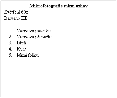 Textov pole: Mikrofotografie mzn uzliny
Zvten 60x 
Barveno HE
 
Vazivov pouzdro
Vazivov pepka
De
Kra
Mzn folikul
 
 
 
 
 
