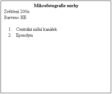 Textov pole: Mikrofotografie mchy
Zvten 200x 
Barveno HE
 
Centrln mn kanlek
Ependym
 
 
 
 
 
 
 
