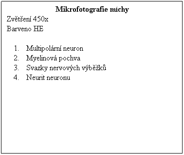 Textové pole: Mikrofotografie míchy
Zvětšení 450x 
Barveno HE
 
Multipolární neuron
Myelinová pochva
Svazky nervových výběžků
Neurit neuronu
 
 
 
 
 
 
 
