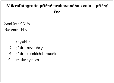 Textov pole: Mikrofotografie pn pruhovanho svalu  pn ez
 
Zvten 450x 
Barveno HE
 
myofibr
jdra myofibry
jdra satelitnch bunk
endomysium
 
 
 
 
