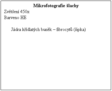 Textov pole: Mikrofotografie lachy
Zvten 450x 
Barveno HE
 
Jdra kdlatch bunk  fibrocyt (ipka)
 
 
 
 

