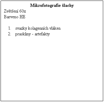 Textov pole: Mikrofotografie lachy
Zvten 60x
Barveno HE
 
svazky kolagennch vlken
praskliny - artefakty
