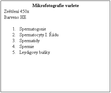 Textov pole: Mikrofotografie varlete
Zvten 450x 
Barveno HE
 
1.      Spermatogonie
2.      Spermatocyty I. du
3.      Spermatidy
4.      Spermie
5.      Leydigovy buky
 
 
 
 
 
 
