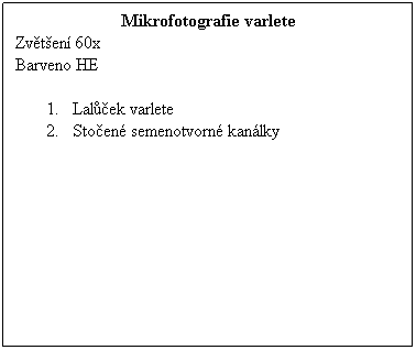 Textové pole: Mikrofotografie varlete
Zvětšení 60x 
Barveno HE
 
1.      Lalůček varlete
2.      Stočené semenotvorné kanálky 
 
 
 
 
 
 
