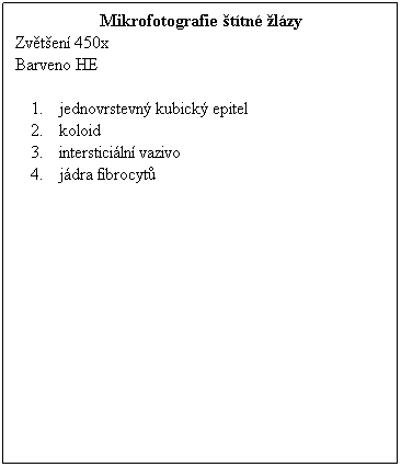 Textov pole: Mikrofotografie ttn lzy
Zvten 450x
Barveno HE
 
jednovrstevn kubick epitel
koloid
intersticiln vazivo
jdra fibrocyt
 
