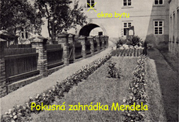 l_zahradka3