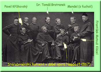 t_konvent