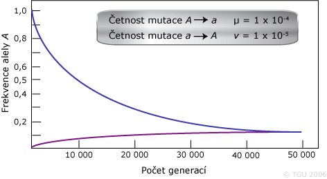 graf vratné mutace