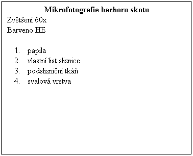 Textov pole: Mikrofotografie bachoru skotu
Zvten 60x 
Barveno HE
 
papila
vlastn list sliznice
podsliznin tk
svalov vrstva
 
 
