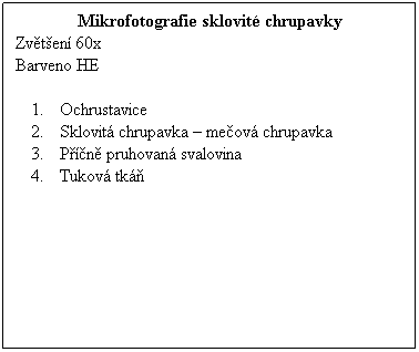 Textov pole: Mikrofotografie sklovit chrupavky
Zvten 60x 
Barveno HE
 
Ochrustavice
Sklovit chrupavka  meov chrupavka
Pn pruhovan svalovina
Tukov tk
 
 
 
