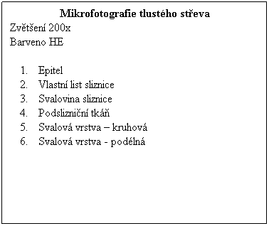 Textov pole: Mikrofotografie tlustho steva
Zvten 200x 
Barveno HE
 
Epitel
Vlastn list sliznice
Svalovina sliznice
Podsliznin tk
Svalov vrstva  kruhov
Svalov vrstva - podln
 
 
 
 
 
