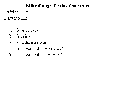 Textov pole: Mikrofotografie tlustho steva
Zvten 60x 
Barveno HE
 
Stevn asa
Sliznice
Podsliznin tk
Svalov vrstva  kruhov
Svalov vrstva - podln
 
 
 
 
 
