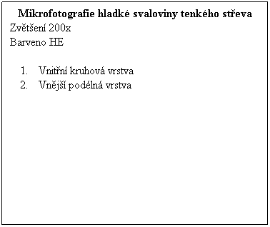 Textov pole: Mikrofotografie hladk svaloviny tenkho steva
Zvten 200x 
Barveno HE
 
Vnitn kruhov vrstva
Vnj podln vrstva
 
 
 
