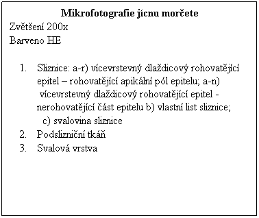 Textov pole: Mikrofotografie jcnu morete
Zvten 200x 
Barveno HE
 
Sliznice: a-r) vcevrstevn dladicov rohovatjc epitel  rohovatjc apikln pl epitelu; a-n)  vcevrstevn dladicov rohovatjc epitel - nerohovatjc st epitelu b) vlastn list sliznice; 
      c) svalovina sliznice
Podsliznin tk
Svalov vrstva
 
 
