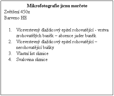 Textov pole: Mikrofotografie jcnu morete
Zvten 450x 
Barveno HE
 
Vcevrstevn dladicov epitel rohovatjc - vrstva zrohovatlch bunk  absence jader bunk
Vcevrstevn dladicov epitel rohovatjc  nerohovatjc buky
Vlastn list sliznice
Svalovina sliznice
 
 
 
