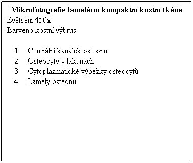 Textov pole: Mikrofotografie lamelrn kompaktn kostn tkn
Zvten 450x 
Barveno kostn vbrus
 
Centrln kanlek osteonu
Osteocyty v lakunch
Cytoplazmatick vbky osteocyt
Lamely osteonu
 
 
 
