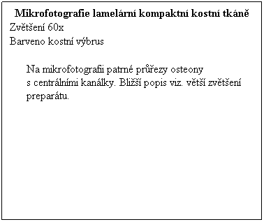 Textov pole: Mikrofotografie lamelrn kompaktn kostn tkn
Zvten 60x 
Barveno kostn vbrus
 
Na mikrofotografii patrn prezy osteony s centrlnmi kanlky. Bli popis viz. vt zvten prepartu.
 
 
 
