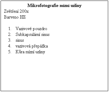 Textov pole: Mikrofotografie mzn uzliny
Zvten 200x 
Barveno HE
 
Vazivov pouzdro
Subkapsulrn sinus
sinus
vazivov pepka
Kra mzn uzliny
 
 
 
 
 
