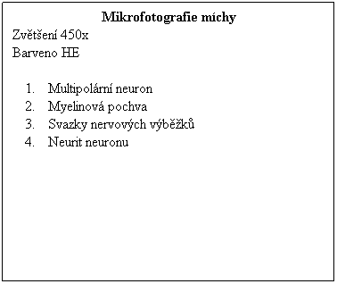 Textov pole: Mikrofotografie mchy
Zvten 450x 
Barveno HE
 
Multipolrn neuron
Myelinov pochva
Svazky nervovch vbk
Neurit neuronu
 
 
 
 
 
 
 
