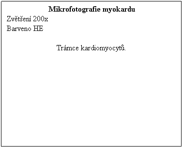 Textov pole: Mikrofotografie myokardu
Zvten 200x 
Barveno HE
 
Trmce kardiomyocyt.
 
 
 
