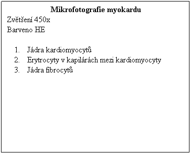 Textov pole: Mikrofotografie myokardu
Zvten 450x 
Barveno HE
 
Jdra kardiomyocyt
Erytrocyty v kapilrch mezi kardiomyocyty
Jdra fibrocyt
 
 
 
 
 
 
