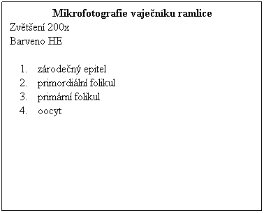 Textov pole: Mikrofotografie vajenku ramlice
Zvten 200x 
Barveno HE
 
zroden epitel
primordiln folikul
primrn folikul
oocyt
 
 
