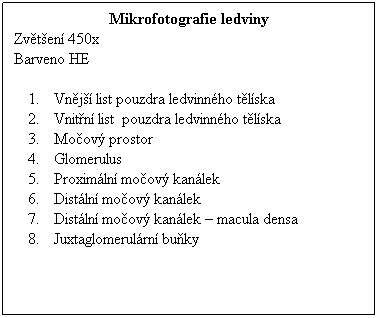 Textov pole: Mikrofotografie ledviny
Zvten 450x 
Barveno HE
 
Vnj list pouzdra ledvinnho tlska
Vnitn list  pouzdra ledvinnho tlska
Moov prostor
Glomerulus
Proximln moov kanlek
Distln moov kanlek
Distln moov kanlek  macula densa
Juxtaglomerulrn buky
 
 
 
 
 
