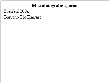 Textov pole: Mikrofotografie spermi
Zvten 200x 
Barveno Dle Karrase 
 
 
 
 
 
 
