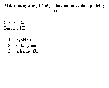 Textov pole: Mikrofotografie pn pruhovanho svalu  podln ez
 
Zvten 200x 
Barveno HE
 
myofibra
endomysium
jdra myofibry
 
 
 
 
