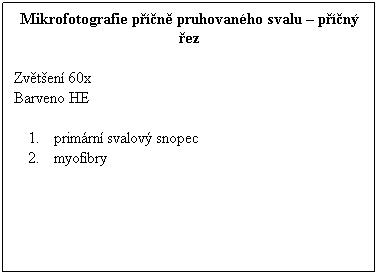 Textov pole: Mikrofotografie pn pruhovanho svalu  pn ez
 
Zvten 60x 
Barveno HE
 
primrn svalov snopec
myofibry
 
 
 
 
