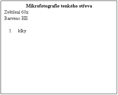 Textov pole: Mikrofotografie tenkho steva
Zvten 60x 
Barveno HE
 
 klky
 
 
 
 
