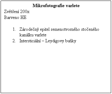 Textov pole: Mikrofotografie varlete
Zvten 200x 
Barveno HE
 
1.      Zroden epitel semenotvornho stoenho kanlku varlete
2.      Intersticiln  Leydigovy buky 
 
 
 
 
 
 
