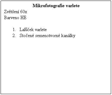 Textov pole: Mikrofotografie varlete
Zvten 60x 
Barveno HE
 
1.      Lalek varlete
2.      Stoen semenotvorn kanlky 
 
 
 
 
 
 
