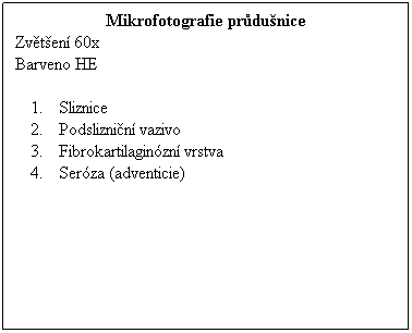 Textov pole: Mikrofotografie prdunice
Zvten 60x 
Barveno HE
 
Sliznice
Podsliznin vazivo
Fibrokartilaginzn vrstva
Serza (adventicie)
 
 
 
