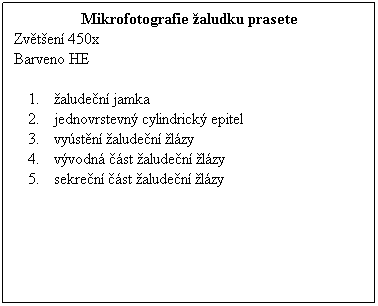 Textov pole: Mikrofotografie aludku prasete
Zvten 450x 
Barveno HE
 
aluden jamka
jednovrstevn cylindrick epitel
vystn aluden lzy
vvodn st aluden lzy
sekren st aluden lzy
 
 
 
