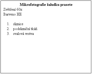 Textov pole: Mikrofotografie aludku prasete
Zvten 60x 
Barveno HE
 
sliznice
podsliznin tk
svalov vrstva
 
 
 
